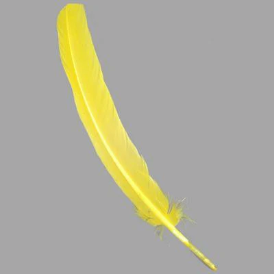 Quill Feathers 12 Pk - Image 8