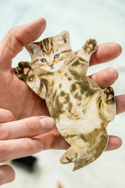 Cat Nail File - Designs Vary - Image 4