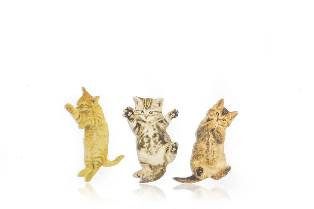 Cat Nail File - Designs Vary - Image 5