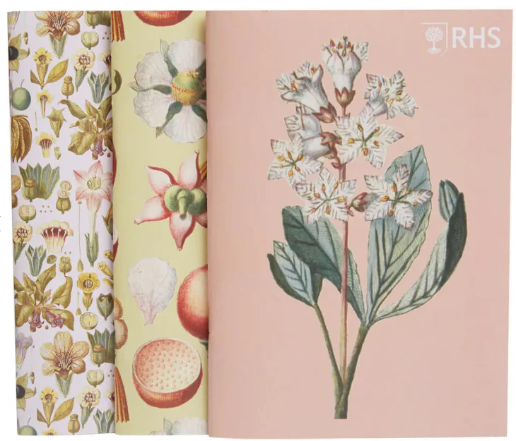 RHS Geissler Sketchbook 3 Pack A5 - Image 2