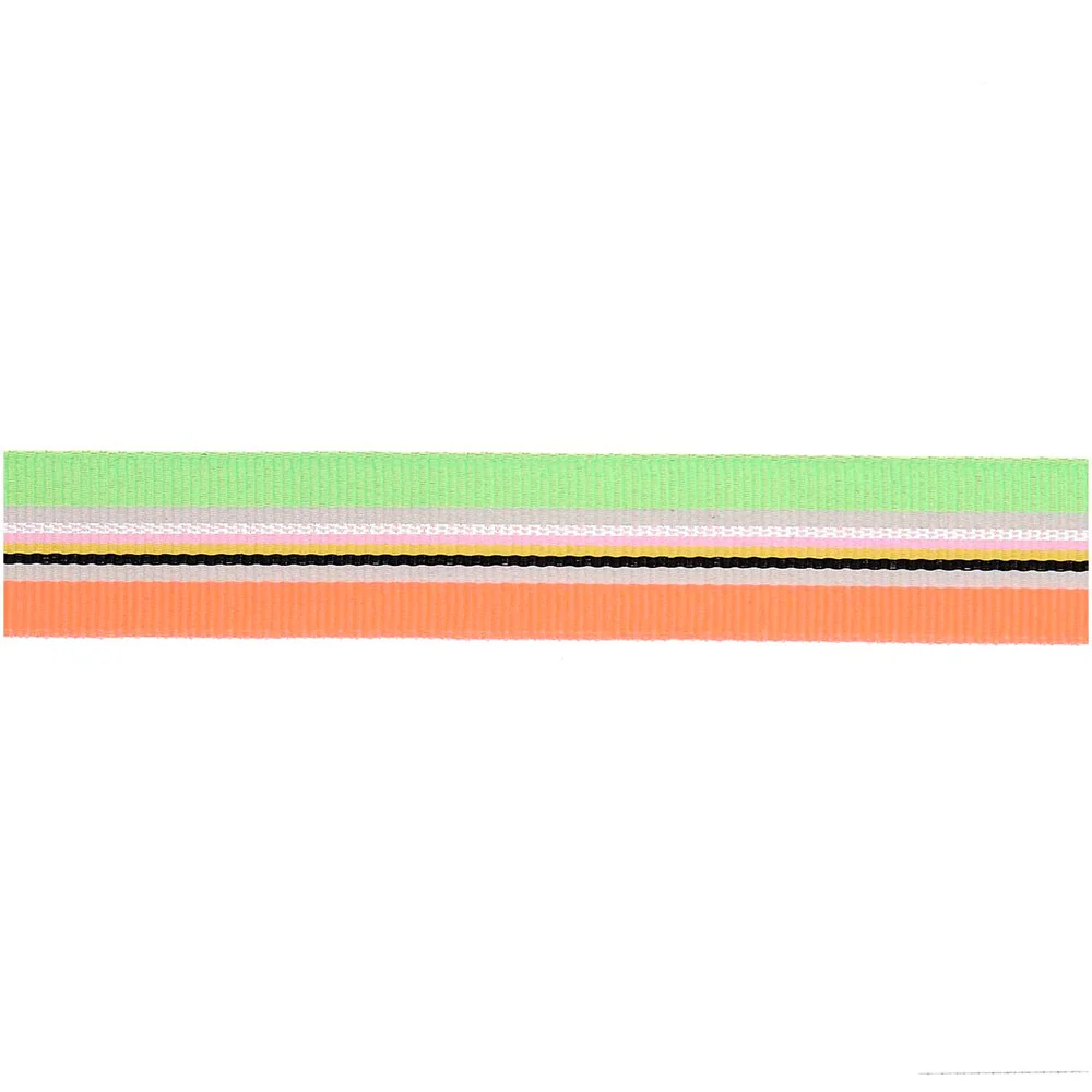 Paper Poetry Woven Ribbon Multi Stripes Neon Red / Black / Yellow / Pink / Iris / Green - Image 2