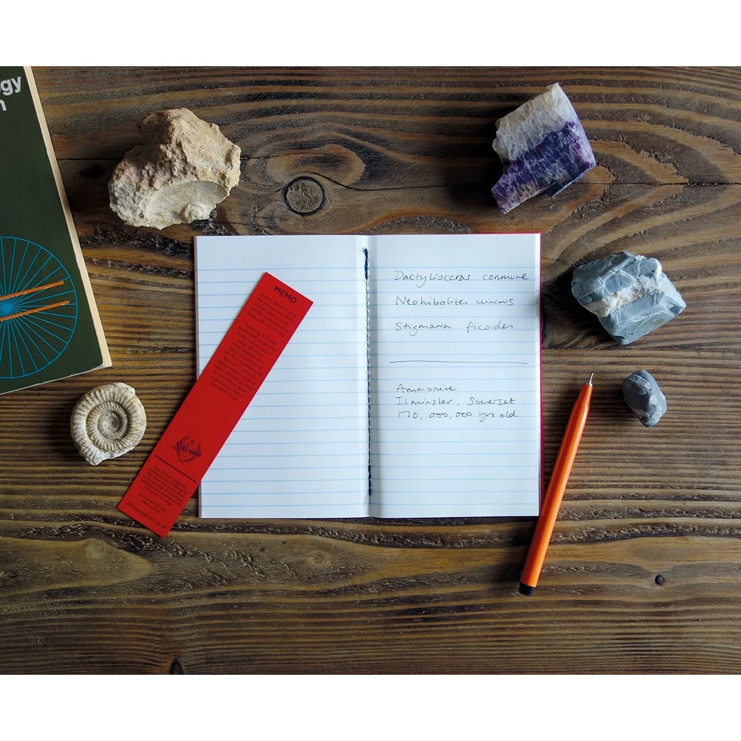 Silvine Memo - Image 5