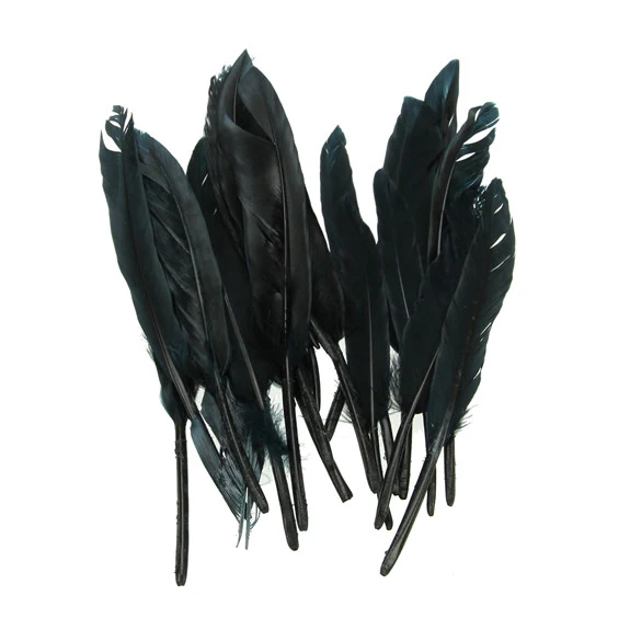 Small Quill Feathers - Image 3