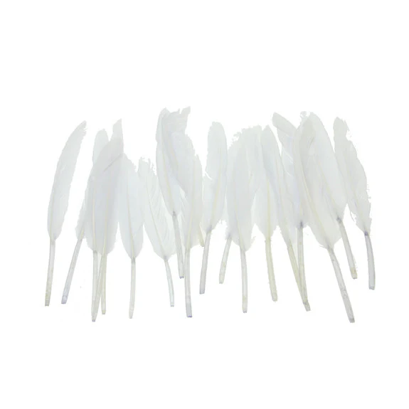 Small Quill Feathers - Image 4