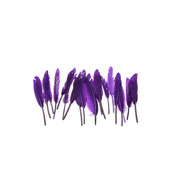 Small Quill Feathers - Image 5