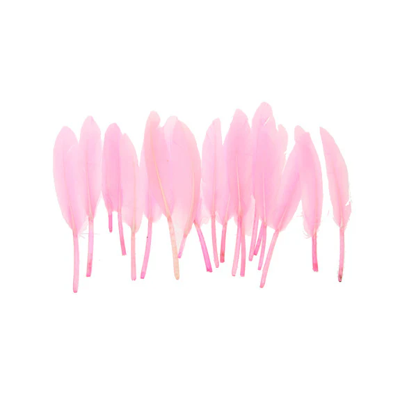 Small Quill Feathers - Image 6