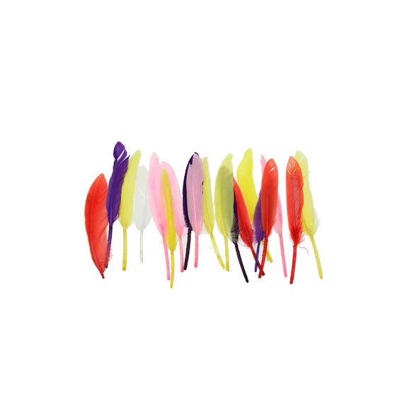 Small Quill Feathers - Image 7