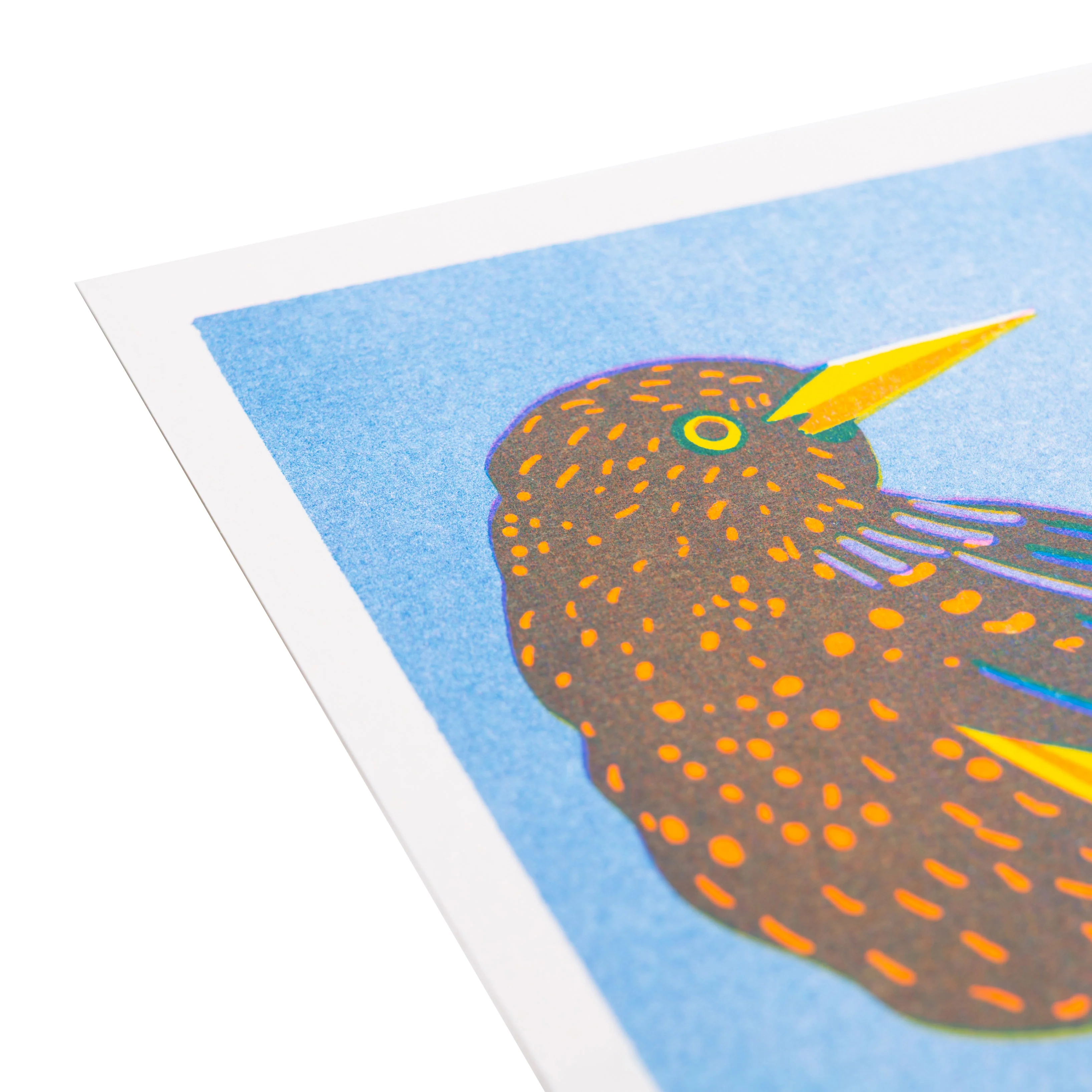 Starling Print - Image 2