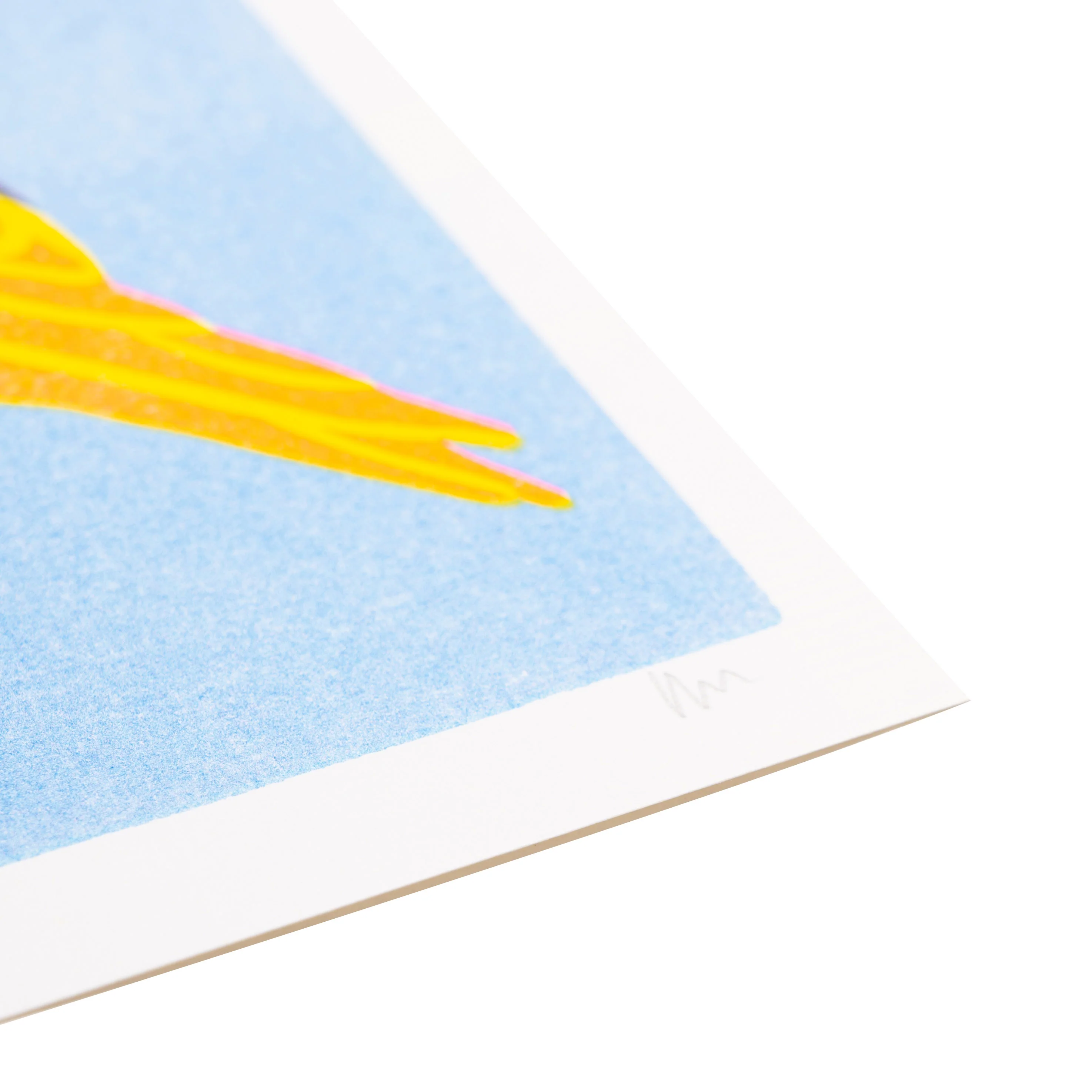 Starling Print - Image 3