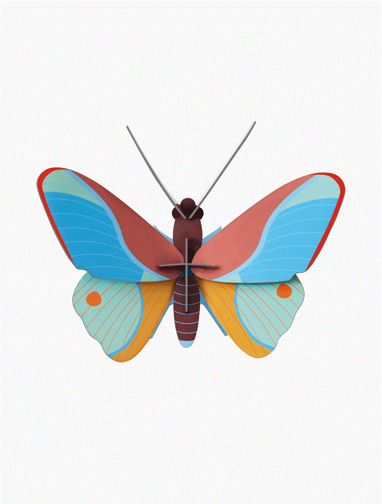 Studio Roof: Wall Art Claudina Butterfly