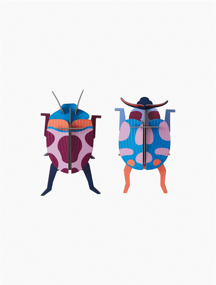 Studio Roof: Wall Art Coccinelle Couple