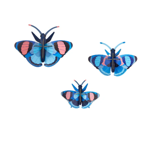 Studio Roof: Wall Art Peacock Butterflies - Image 2