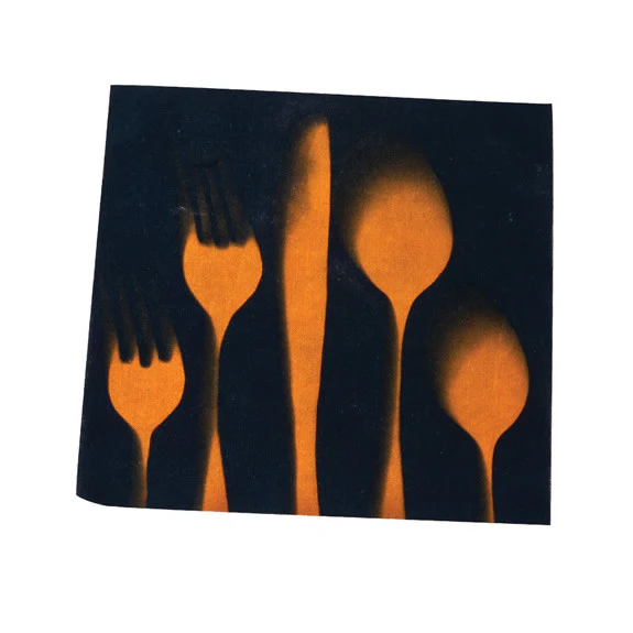Sunography - Fabric - Image 4