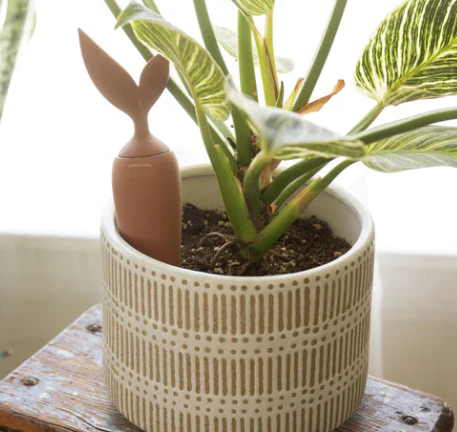 Terracotta Watering Stake - Image 2