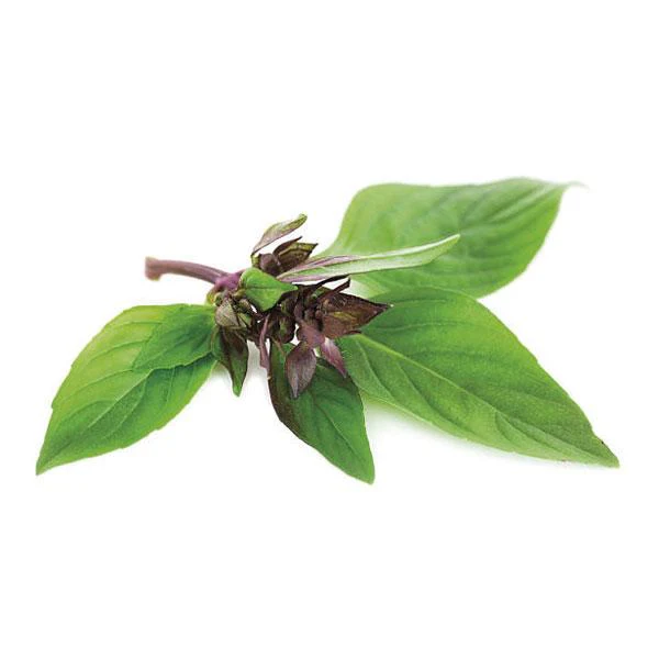 Seed Collection: Thai Basil - Image 2