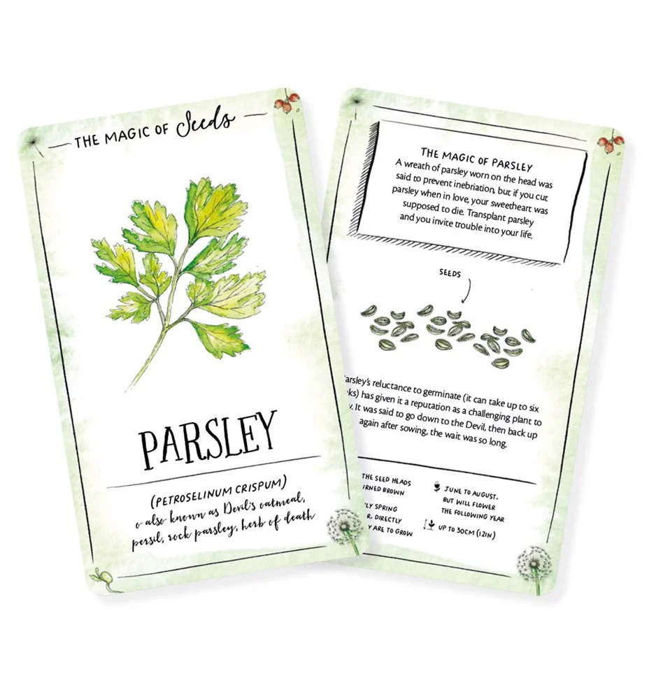 The Magic of Seeds Card Deck - Image 3