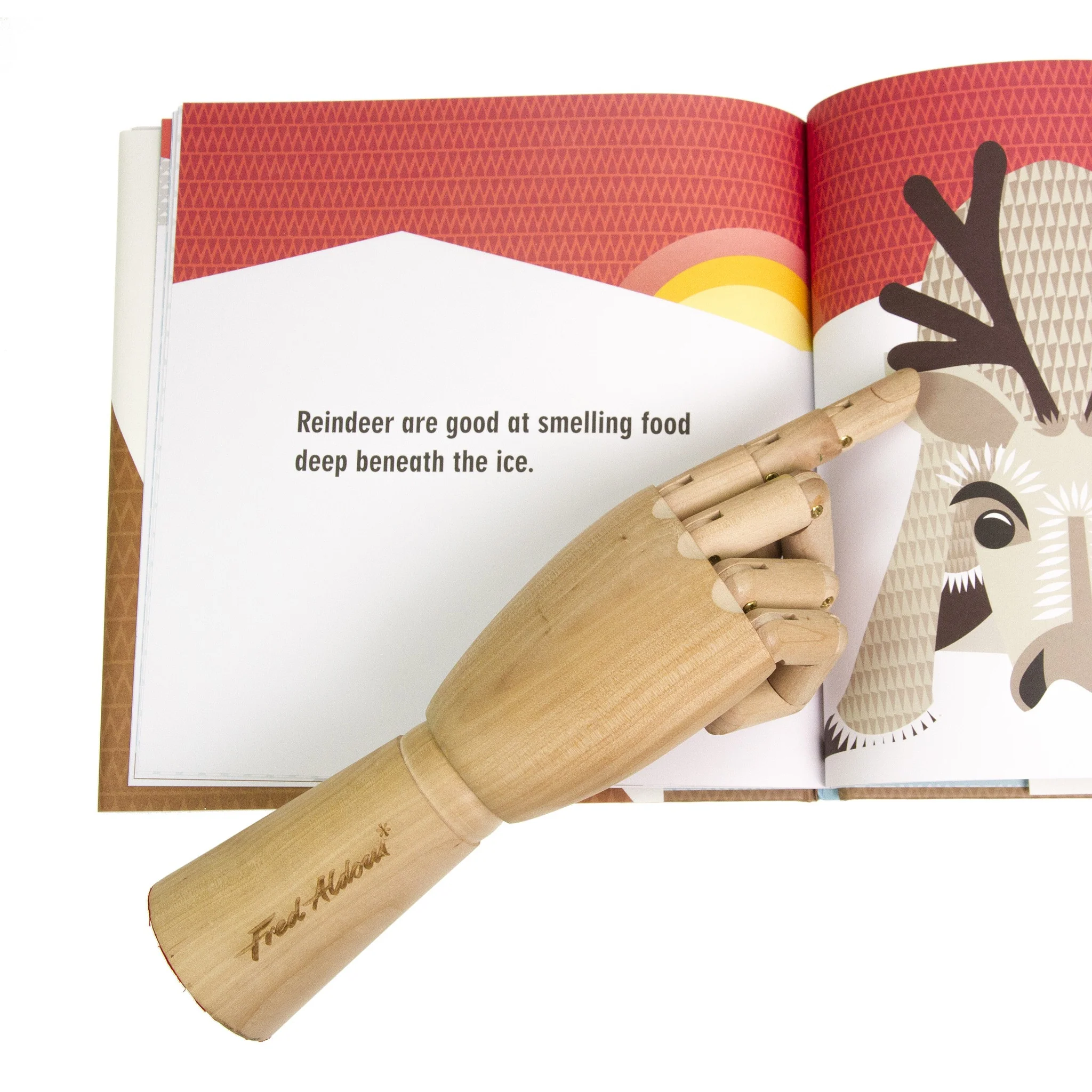 Mibo: The Polar Pack - Hardback Activity Edition - Image 3