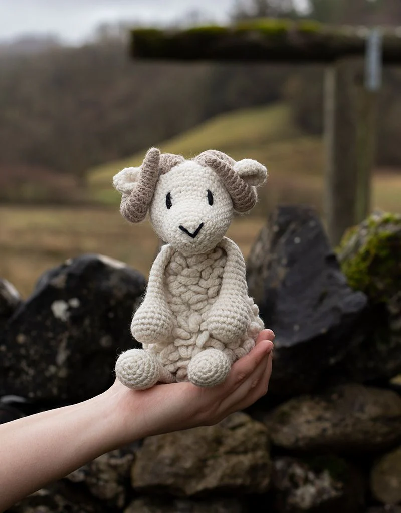 Bryn the Welsh Mountain Sheep Kit - Image 2