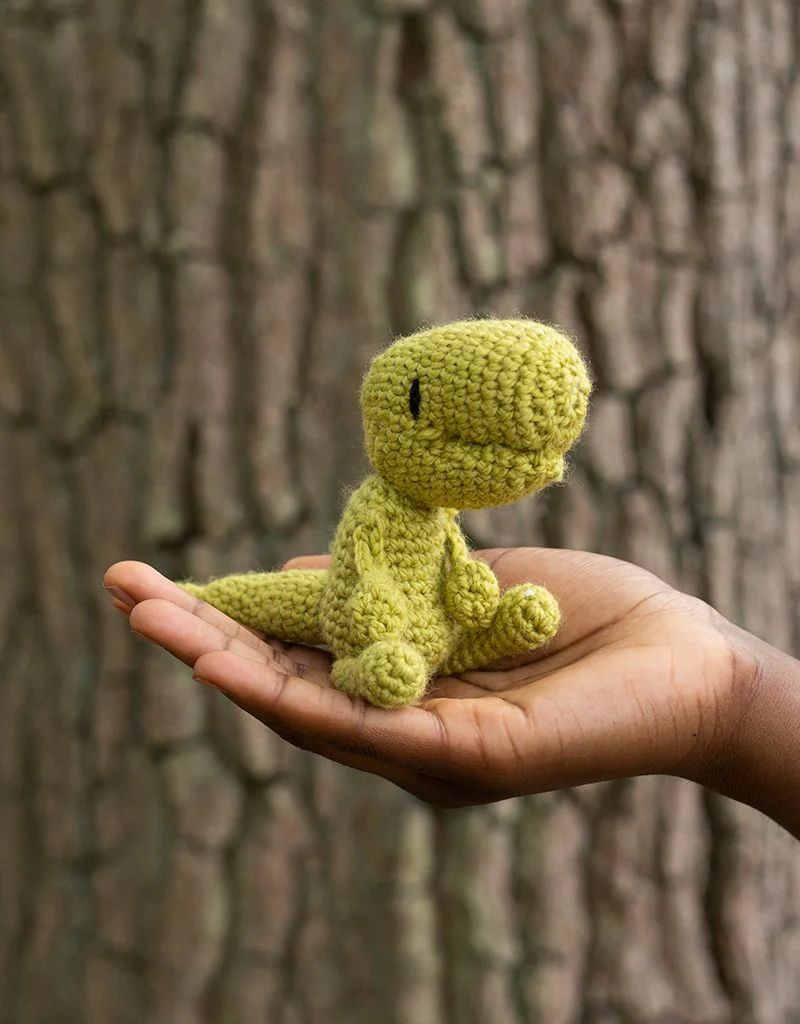 Mini Gregor the T-Rex Kit - Image 2