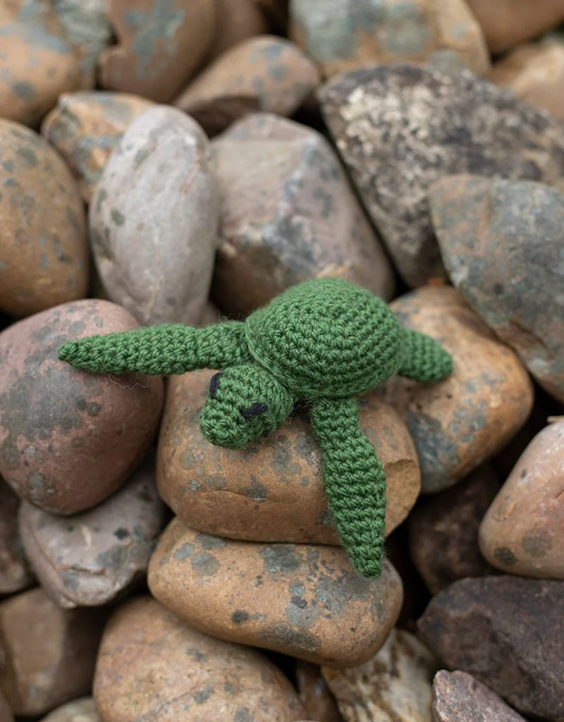 Mini Kat the Turtle Kit - Image 2