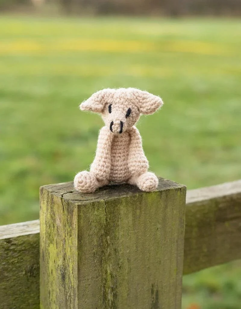 Mini Richard the Pig Kit - Image 2