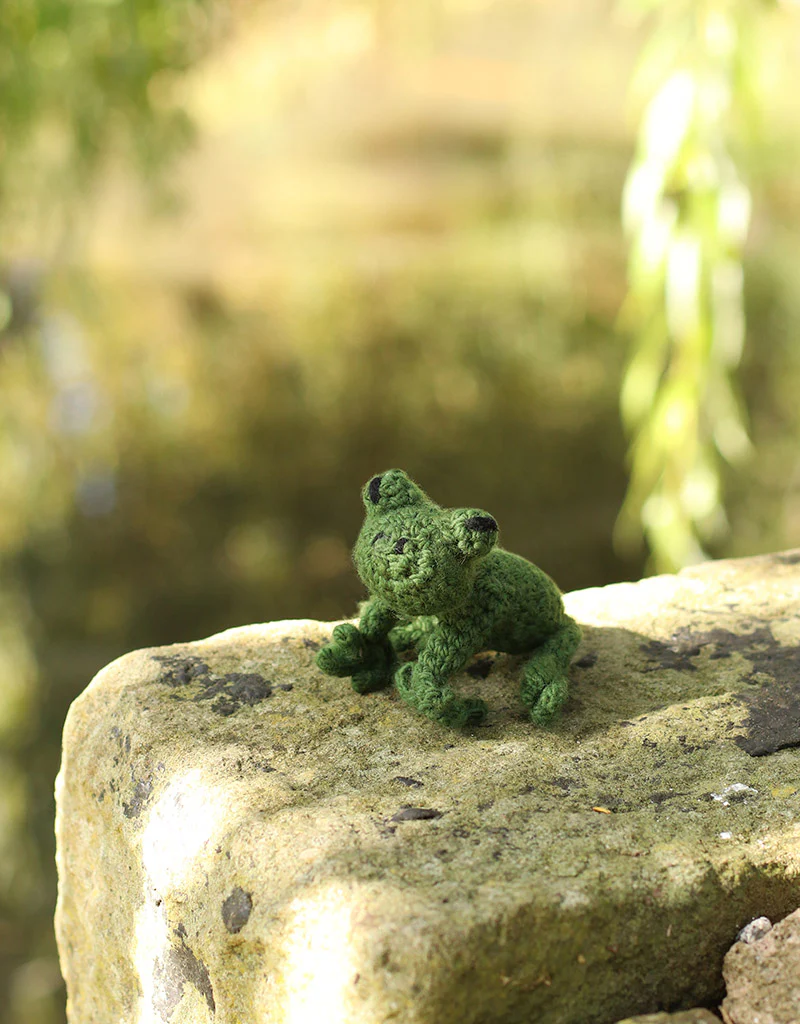 Mini Robert the Frog Kit - Image 2