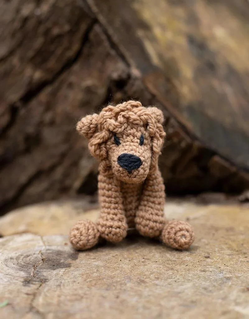 Mini Rufus the Lion Kit - Image 2