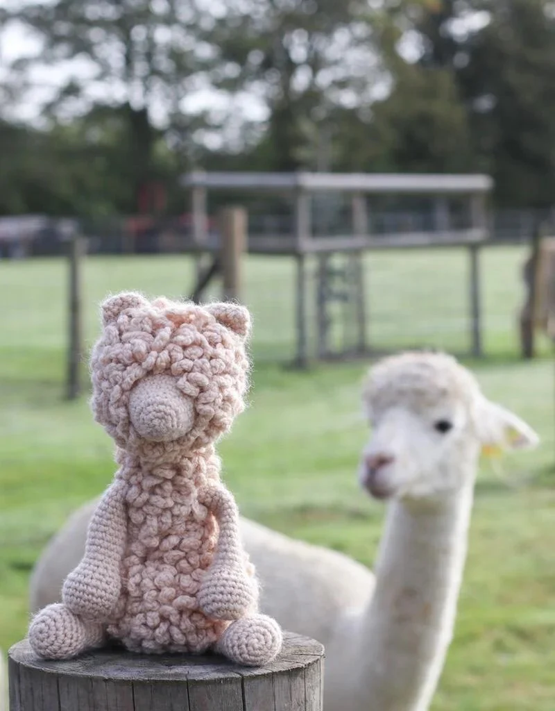 Quin the Huacaya Alpaca Kit - Image 2