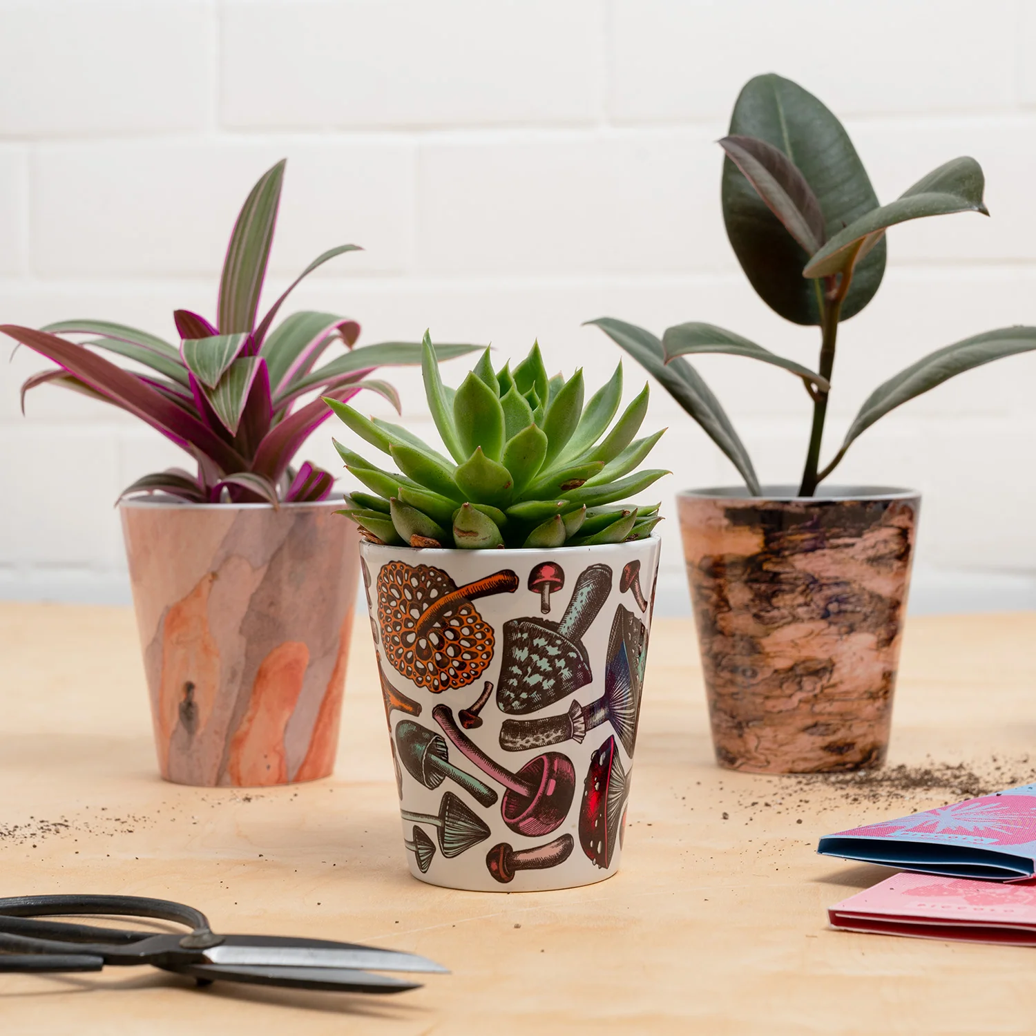 Tree Bark Plant Pot - London Plane - Image 2