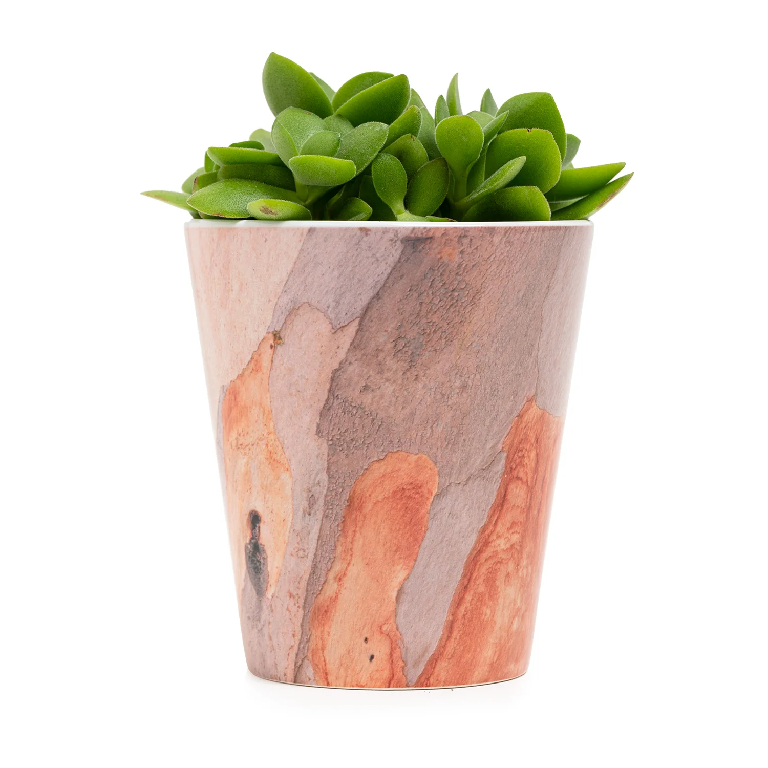 Tree Bark Plant Pot - London Plane - Image 3