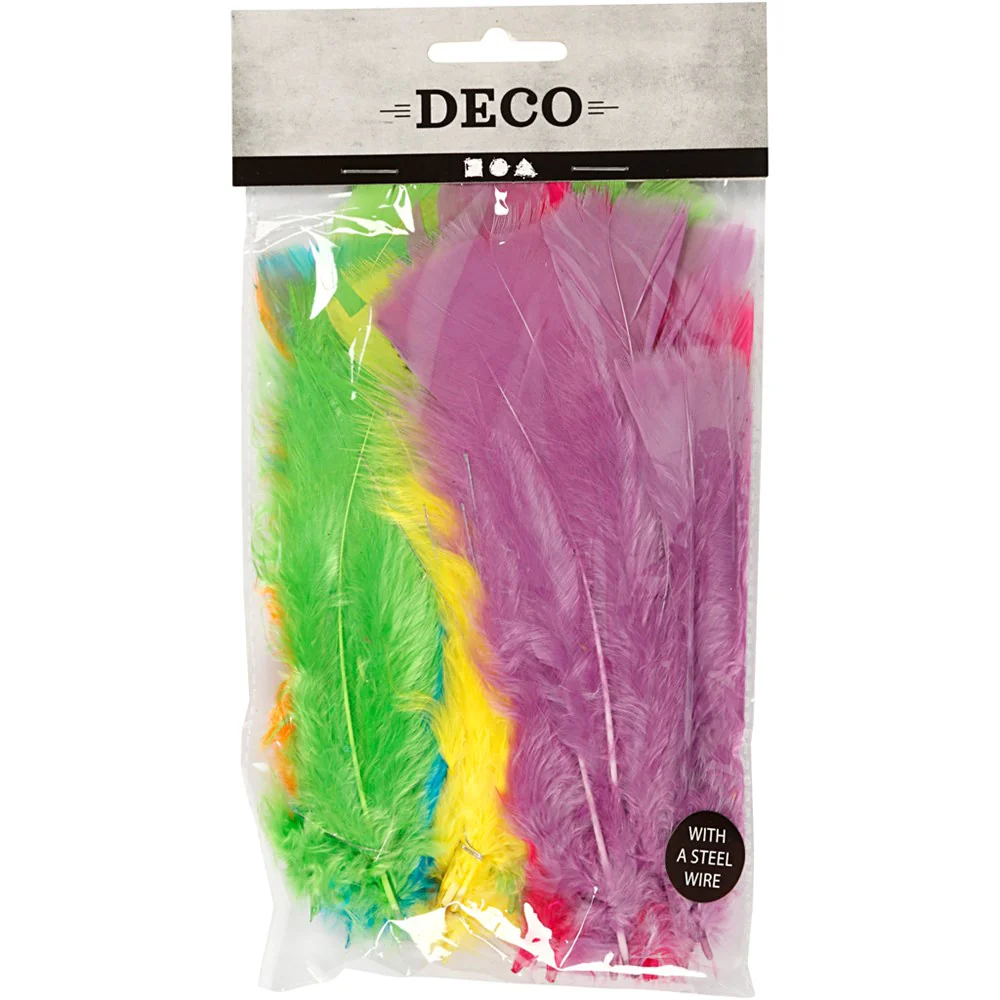 Turkey Feathers - Image 2