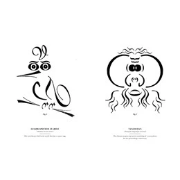 Typographic Specimens: A Natural History of Letterforms - Image 2