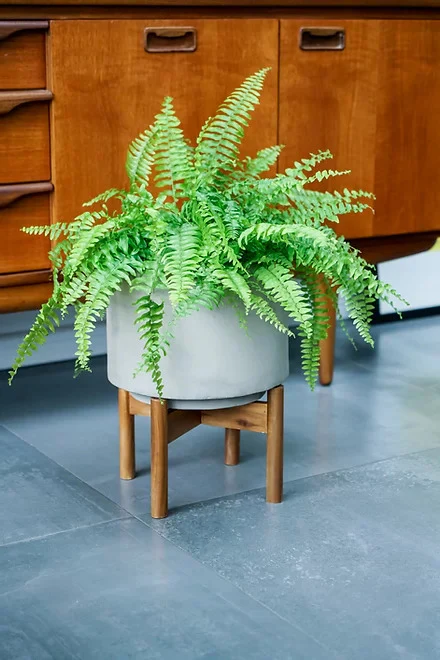 Vigo Concrete Grey Planter With Stand