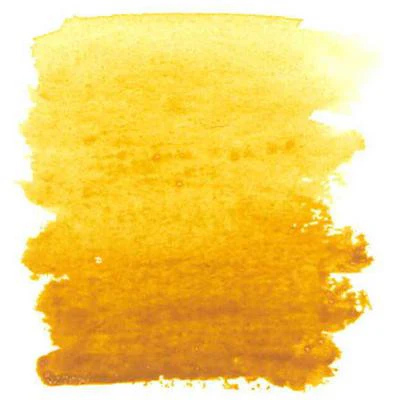 W&N Professional Water Colour 5ml - Image 65