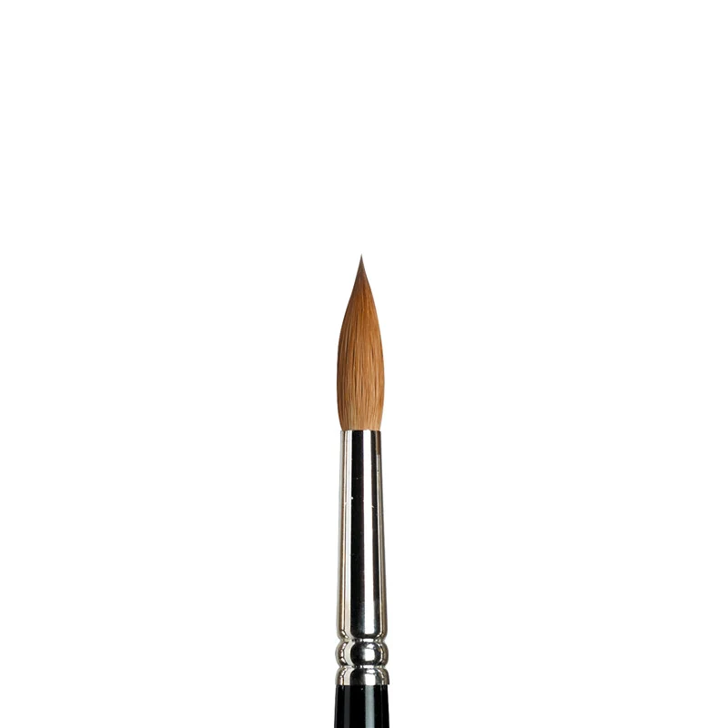 W&N Kolinsky Sable Brushes - Image 13