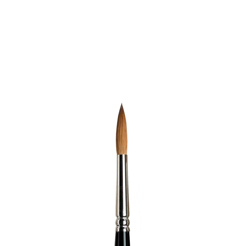 W&N Kolinsky Sable Brushes - Image 15
