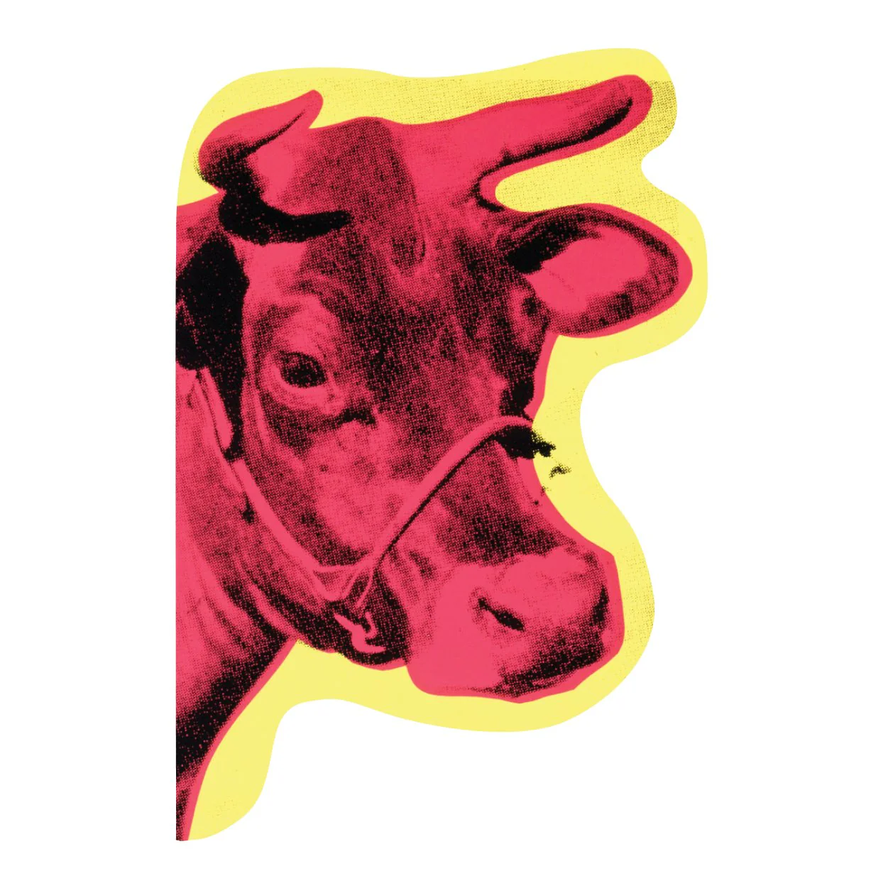 Warhol Shaped Portfolio Notecards - Image 5