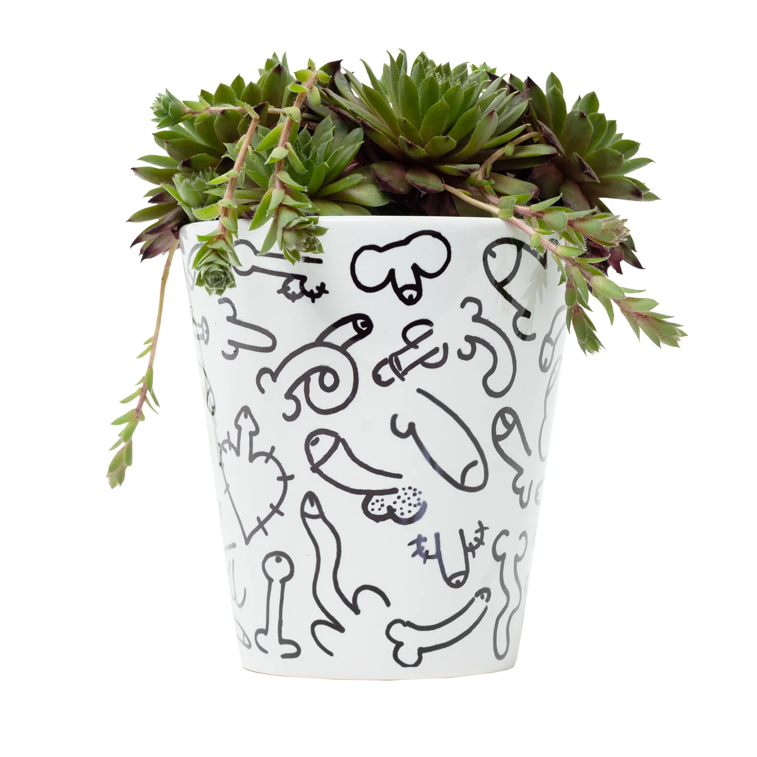 Willy Plant Pot - Image 2
