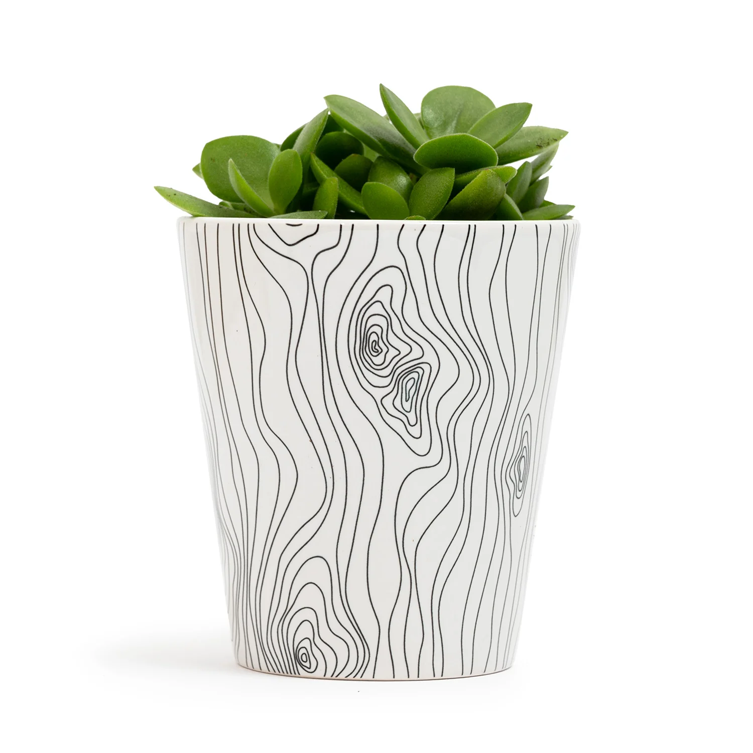 Wood Grain Plant Pot - Image 2