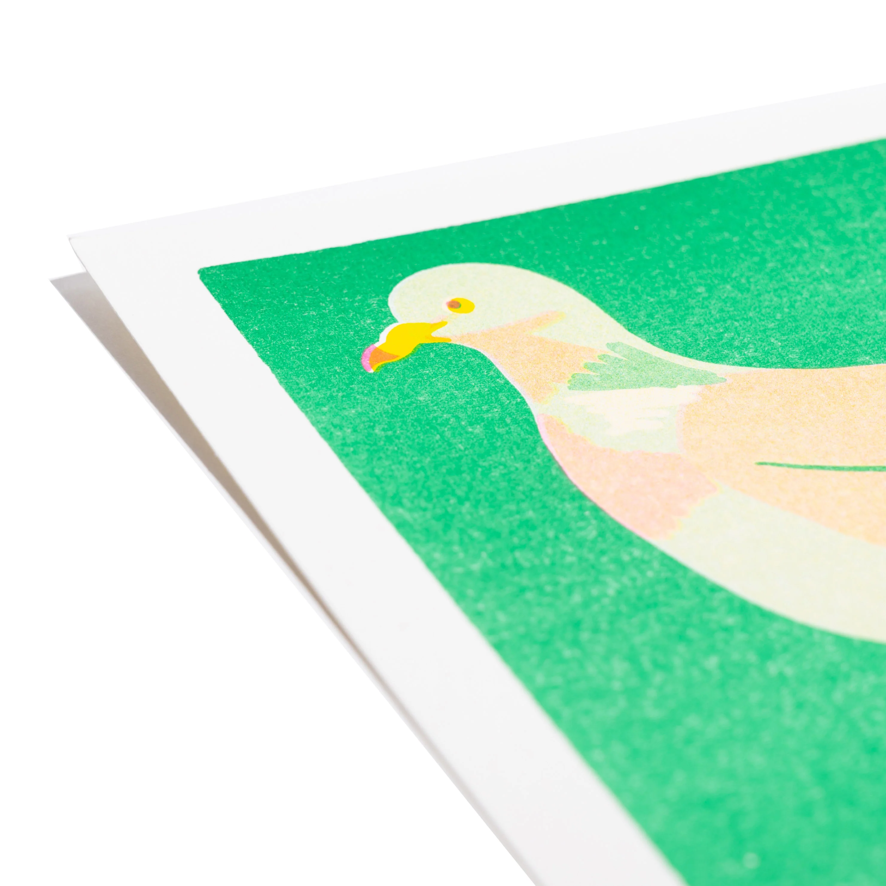 Wood Pigeon Mini Print - Image 2