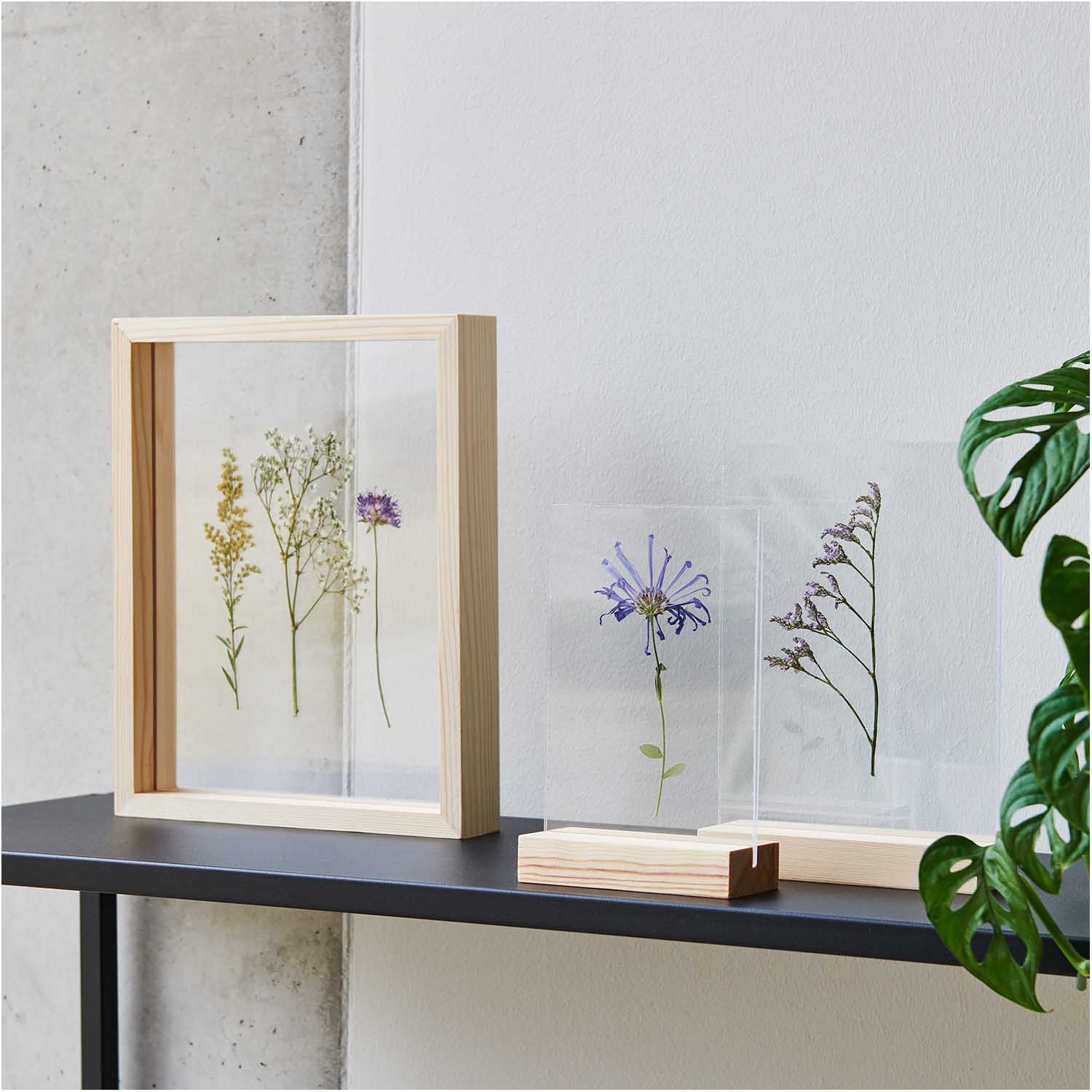 Rico Wooden Frame With Double Acrylic Disc - Image 2